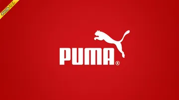 PUMA Marketing Ecosystem Viget